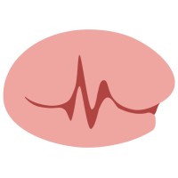 Nice Brain logo - Similar company to Mike Ios Applications