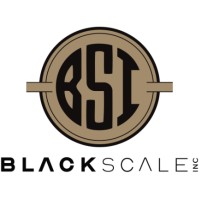 Black Scale Inc logo - Similar company to Division 10 Sales, Llc