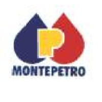 Montepetro Derivados de Petróleo Ltda logo - Similar company to Bv Distribuidora De Combustíveis Ltda