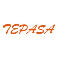 TEPASA logo - Similar company to Kai Servicios De Transporte