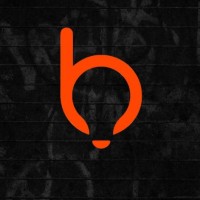Business Idealiza logo - Similar company to Blead