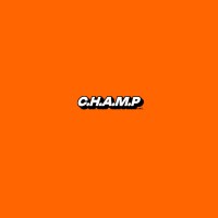 Champ Inc. logo - Similar company to Msb Construction