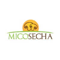 Grupo Setas de Chile SPA (MICOSECHA-MYCOLAB) logo - Similar company to Prodalmen