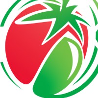 Pepesto logo - Similar company to Persy Ltd.