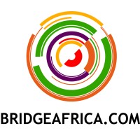 Bridge Africa logo - Similar company to Logivo