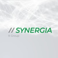 Synergia It Group logo - Similar company to Producir Integral
