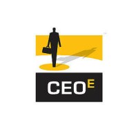 CEO EFFECTIVENESS® LLC
