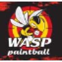 Wasp Paintball