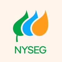 New York State Electric & Gas logo - Similar company to Avangrid