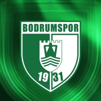 Sipay Bodrum FK logo - Similar company to Logiva