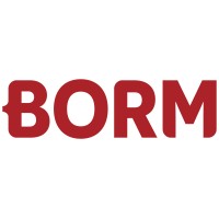 BORM-INFORMATIK GmbH logo - Similar company to Triviso Ag