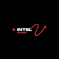 IntelGuards LTD logo - Similar company to Intelguards North Africa
