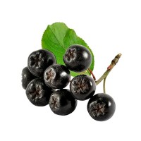 Chokeberry Farm logo - Similar company to Perspolish