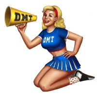 DMT Transport, Inc. logo - Similar company to Bh Trans Inc