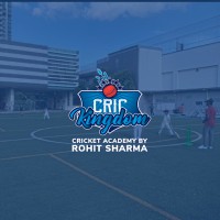 CricKingdom logo - Similar company to Epicmind
