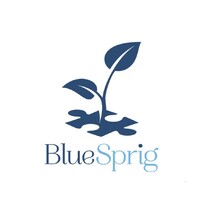 BlueSprig logo - Similar company to Butterfly Effects