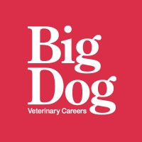 Big Dog Veterinary Careers logo - Similar company to Amanda Azzopardi Aesthetics