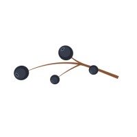 Bilberry Software Ltd logo - Similar company to Serra Medical Group