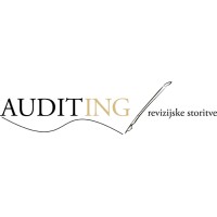 Audit-i.n.g., revizijske storitve, d.o.o. logo - Similar company to Družina D.O.O.