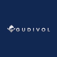 Gudivol Group logo - Similar company to Ci Volatility Fund