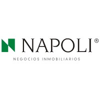 Napoli Negocios Inmobiliarios logo - Similar company to Adrian Mercado