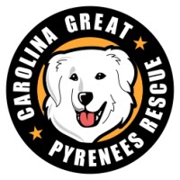 Carolina Great Pyrenees Rescue