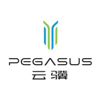 Pegasus Technology Holdings, Inc. logo - Similar company to Craftsman Tech