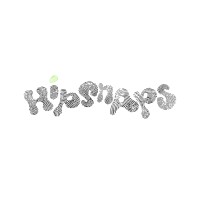 Hipsnaps logo - Similar company to The Raw Project
