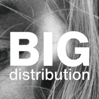 BIG Distribution logo - Similar company to Big Distribution ( Taurus Group)