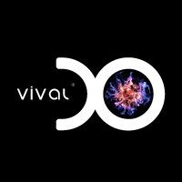 Vival One logo - Similar company to 〇 Group (Formerly Fh Global Group)