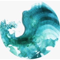 Regenerative Design Services logo - Similar company to Cientis Technologies Inc.