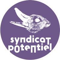 Syndicat Potentiel Strasbourg logo - Similar company to Beta-Local
