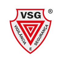 Grupo VSG logo - Similar company to Visel