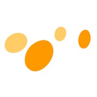 NOVORA Car Import GmbH logo - Similar company to Tv-Insight
