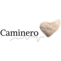 Caminero logo - Similar company to Toplux Ab
