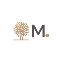Meranti Capital Partners logo - Similar company to Qabie Tech Solutions