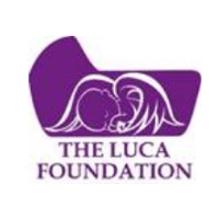The Luca Foundation logo - Similar company to Leonard Future Fund