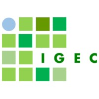 Instituto para la Gestión Eficiente de las Ciudades logo - Similar company to Linking Minds Mx