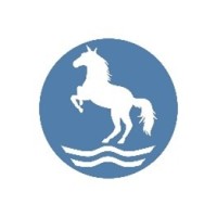 FORZINA SHIPPING COMPANY LIMITED logo - Similar company to Orsa Lojistik Yatirim As