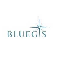 BLUEGIS logo - Similar company to Geodar