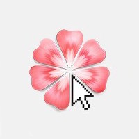 Benis Flower logo - Similar company to Exon Vision System