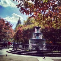 Private label Suplement logo - Similar company to Supplement As