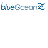 BlueOceanz LLC logo - Similar company to Inserito Technologies Solutions & Services