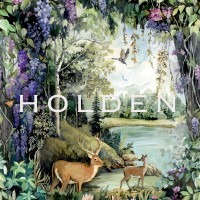 Holden Decor Ltd logo - Similar company to Hevensent