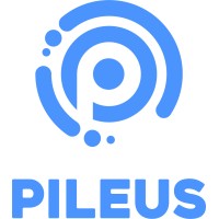 Pileus logo - Similar company to Pileus