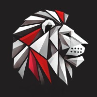 Lion Code Ltd logo - Similar company to Code Lions
