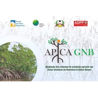 APICA GNB logo - Similar company to Gepres