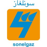 sonelgaz logo - Similar company to المجلس الأعلى للشباب - الجزائر