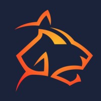 Panthur logo - Similar company to Digital Pacific
