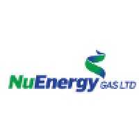 NuEnergy Gas Limited logo - Similar company to Petroraya